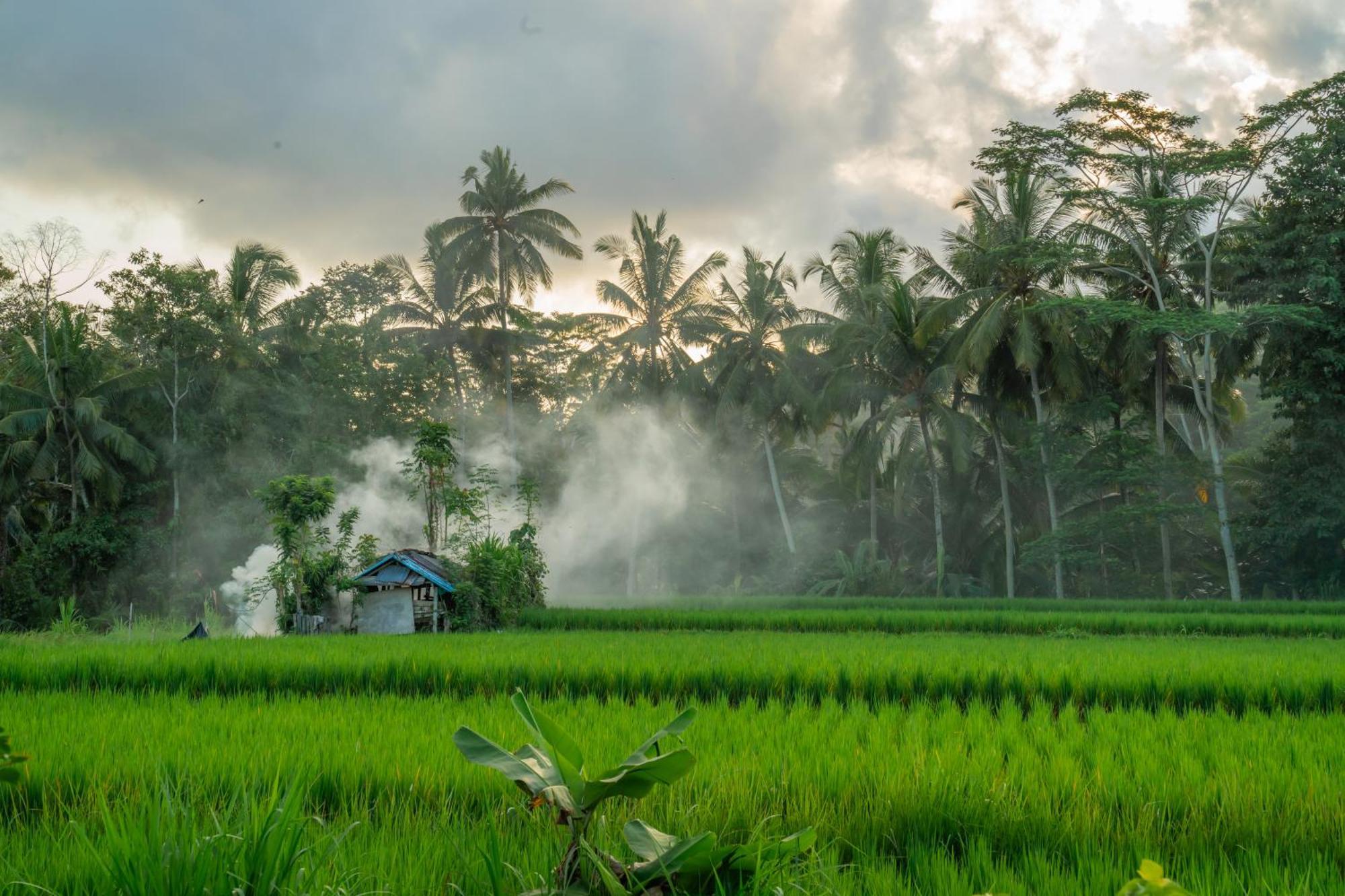 Kampung Uma Dawa Villas And Spa Ubud  Luaran gambar