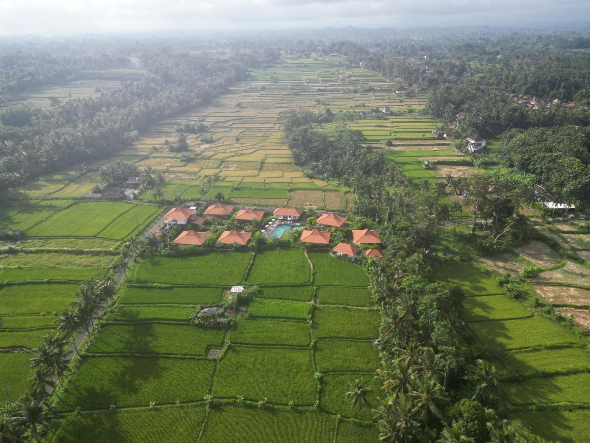 Kampung Uma Dawa Villas And Spa Ubud  Luaran gambar